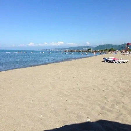 Platin Apart * Trabzon